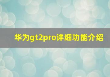 华为gt2pro详细功能介绍