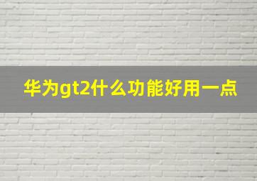 华为gt2什么功能好用一点