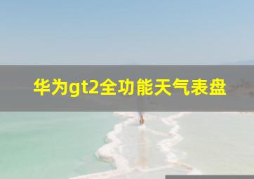 华为gt2全功能天气表盘