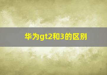 华为gt2和3的区别