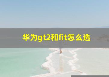 华为gt2和fit怎么选