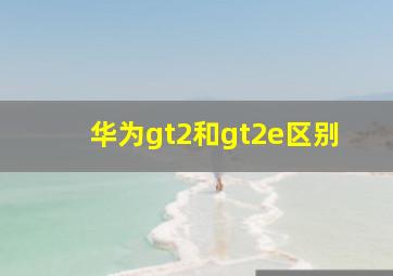 华为gt2和gt2e区别