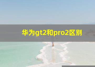 华为gt2和pro2区别