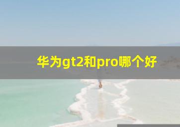 华为gt2和pro哪个好