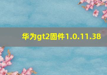 华为gt2固件1.0.11.38