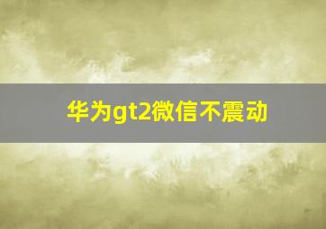 华为gt2微信不震动