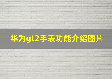 华为gt2手表功能介绍图片