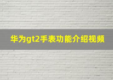 华为gt2手表功能介绍视频