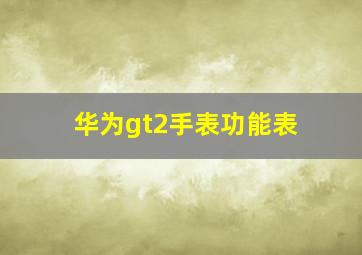 华为gt2手表功能表