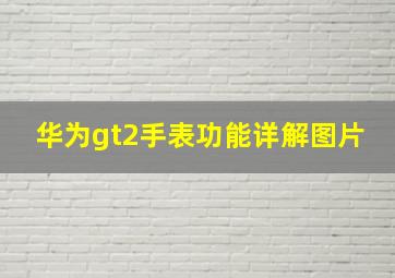 华为gt2手表功能详解图片