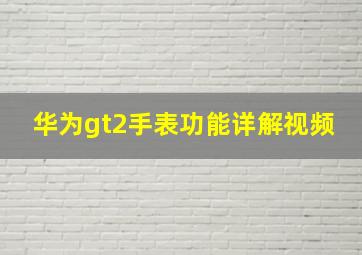 华为gt2手表功能详解视频