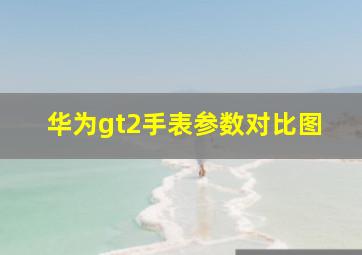 华为gt2手表参数对比图