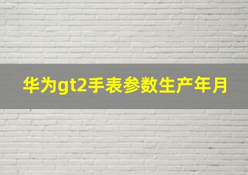 华为gt2手表参数生产年月