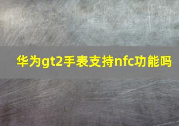 华为gt2手表支持nfc功能吗