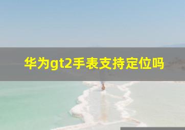 华为gt2手表支持定位吗