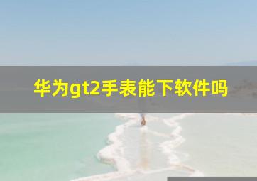 华为gt2手表能下软件吗