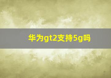 华为gt2支持5g吗