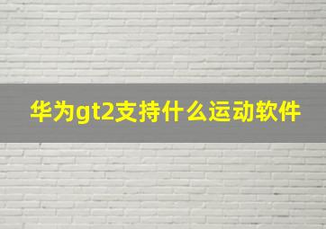 华为gt2支持什么运动软件