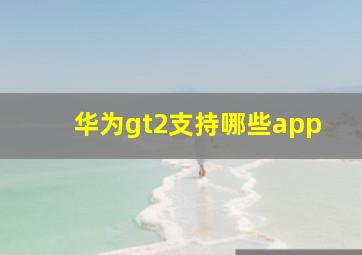 华为gt2支持哪些app