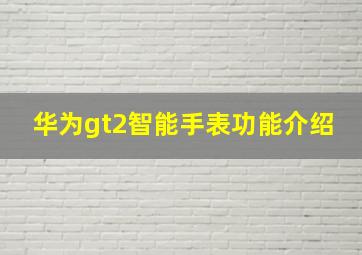 华为gt2智能手表功能介绍