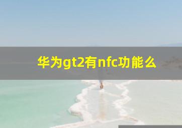 华为gt2有nfc功能么