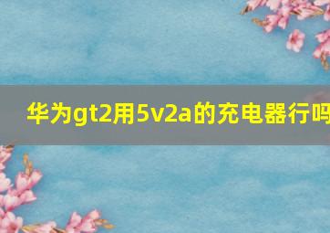 华为gt2用5v2a的充电器行吗