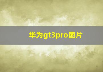 华为gt3pro图片