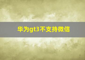 华为gt3不支持微信