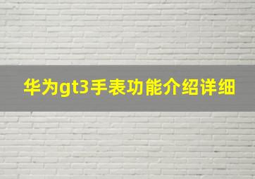 华为gt3手表功能介绍详细