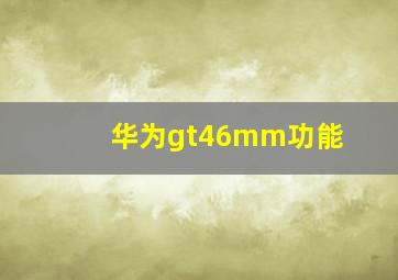 华为gt46mm功能