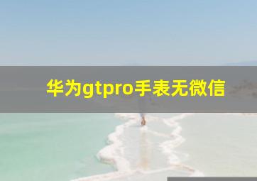 华为gtpro手表无微信