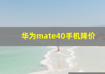 华为mate40手机降价