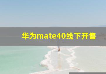 华为mate40线下开售