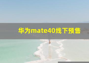 华为mate40线下预售