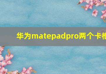 华为matepadpro两个卡槽