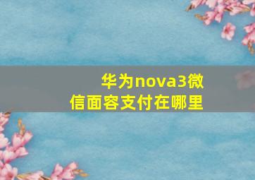 华为nova3微信面容支付在哪里