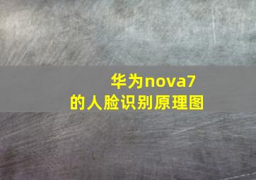 华为nova7的人脸识别原理图