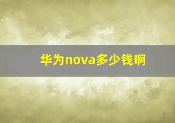 华为nova多少钱啊