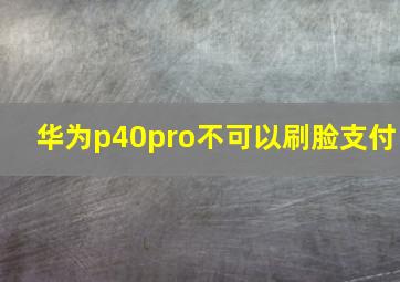 华为p40pro不可以刷脸支付