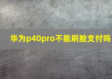 华为p40pro不能刷脸支付吗