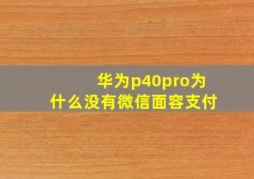 华为p40pro为什么没有微信面容支付