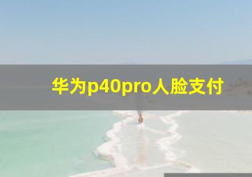 华为p40pro人脸支付