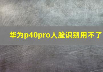 华为p40pro人脸识别用不了