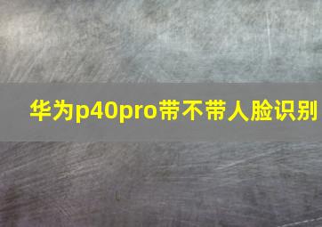 华为p40pro带不带人脸识别