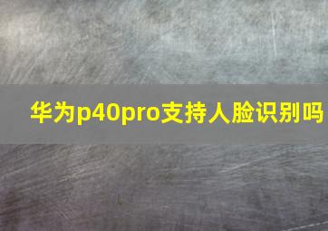 华为p40pro支持人脸识别吗