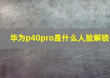 华为p40pro是什么人脸解锁