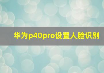 华为p40pro设置人脸识别