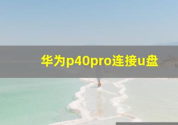 华为p40pro连接u盘