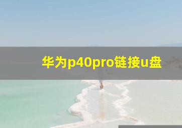 华为p40pro链接u盘