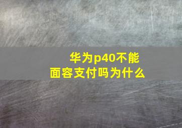 华为p40不能面容支付吗为什么